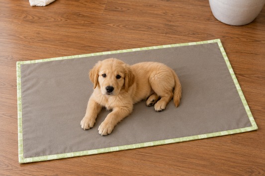 PET BLANKET
